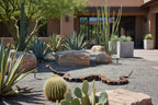 Large-Scale Articulated Rattlesnake Sculpture by The Rusted Desert