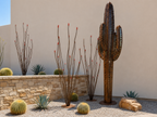 Rusted Steel Ocotillo Sculpture