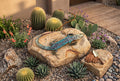 Hand-Painted Whiptail Lizard Sculpture
