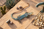 Hand-painted whiptail lizard sculpture