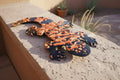 Hand-Painted Steel Gila Monster Sculpture