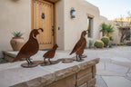 Rusted steel quail family sculpture on one shared base