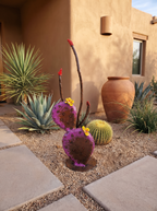 Handmade Steel Prickly Pear Cactus Sculpture