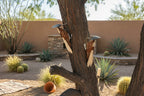 Handmade Metal Woodpecker Sculpture