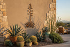 Rusted Steel Agave Wall Art