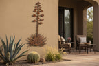 Rusted Steel Agave Wall Art