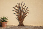 Rusted Steel Ocotillo Wall Art