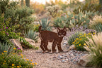 Rusted steel bobcat kitten sculpture, freestanding
