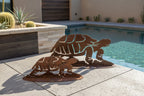 Rusted iron desert tortoise sculpture, parent and baby