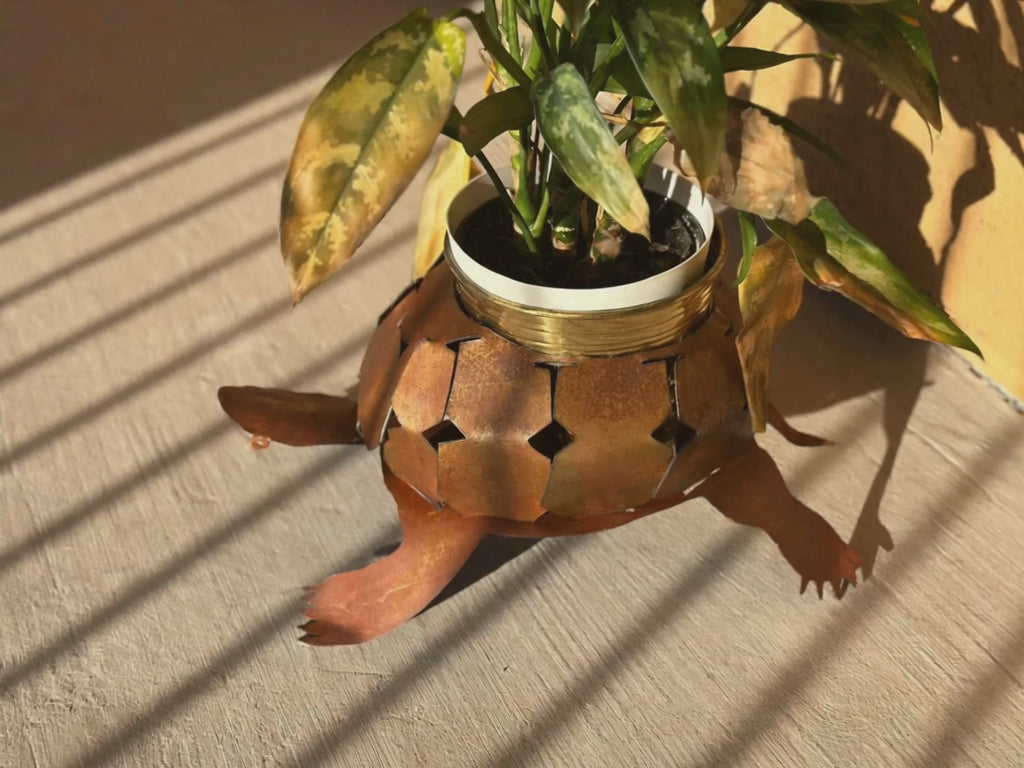 Hand-Painted Whiptail Lizard Sculpture